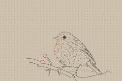 Bird Robin sketch