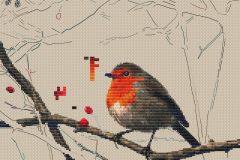 Bird Robin - work progress