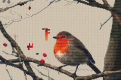 Bird Robin final pattern