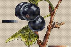 A blackcurrant - final touches