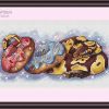 Snake with donuts - Image 2