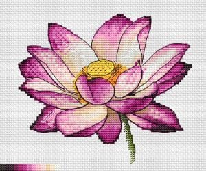 Pink and white lotus - pattern in process