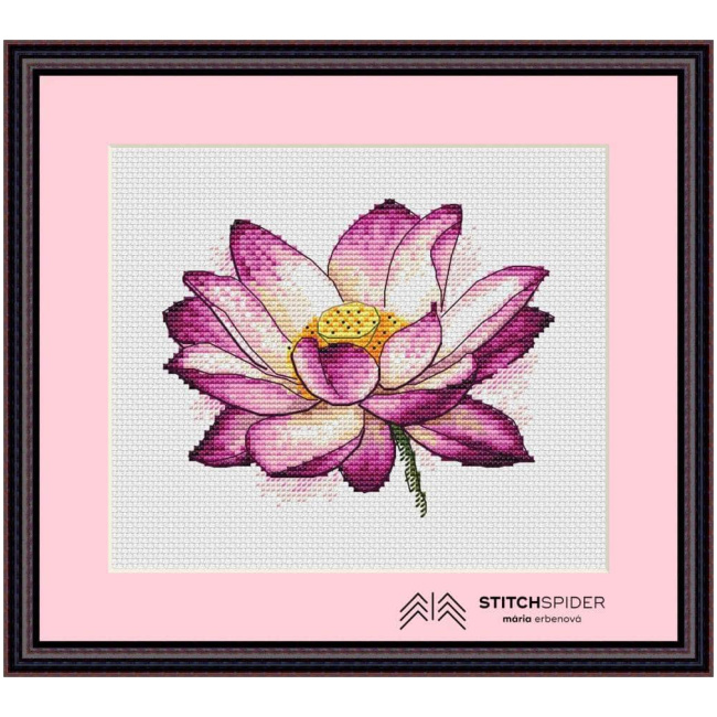 Pink lotus in frame