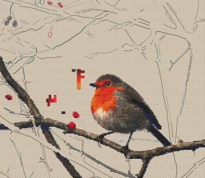 Bird Robin