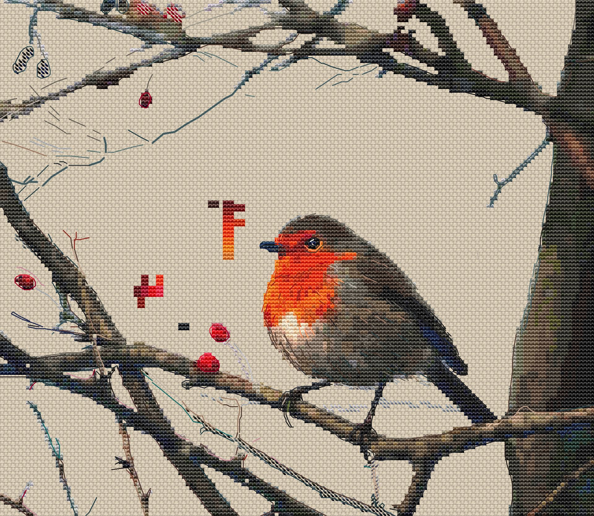 Bird Robin final