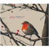 Bird Robin - Image 3