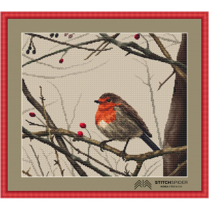 Bird Robin pattern in frame