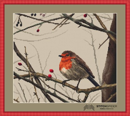 Bird Robin pattern in frame