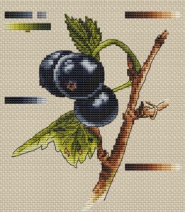black currant_final touches