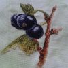 black-currant-wish-embroidery