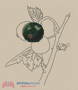 black currant_beginning of process