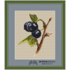 blackcurrant_wish_final_pattern_in_frame