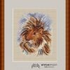 guinea_pig_frame