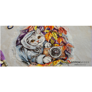 Embroidery Autumn photoshot cat