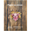 Piglet on straw on the wood