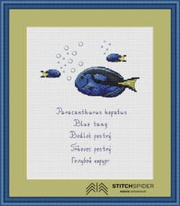 Free cross stitch pattern Blue tang fish in frame