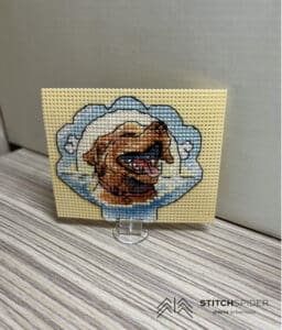 Olga-Brjatova_happy dog