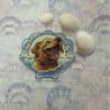 Svetlana-Petko_happy dog