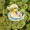Duck on the lake Jellena J.