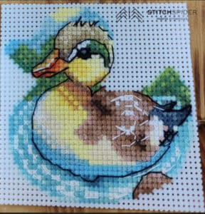 Duck on the lake Julja Z.