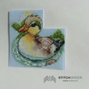 Duck on the lake Marina I.